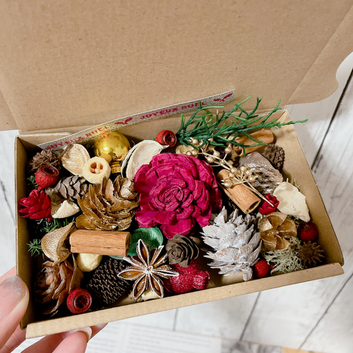 木の実&花材セット 木の実 クリスマス no.2 ドライフラワー Forest