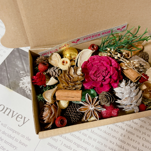 木の実&花材セット 木の実 クリスマス no.2 ドライフラワー Forest