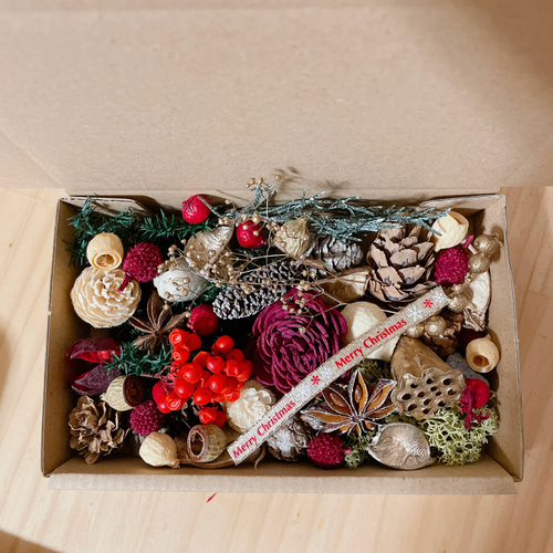 木の実&花材セット 木の実 クリスマス no.4 ドライフラワー Forest