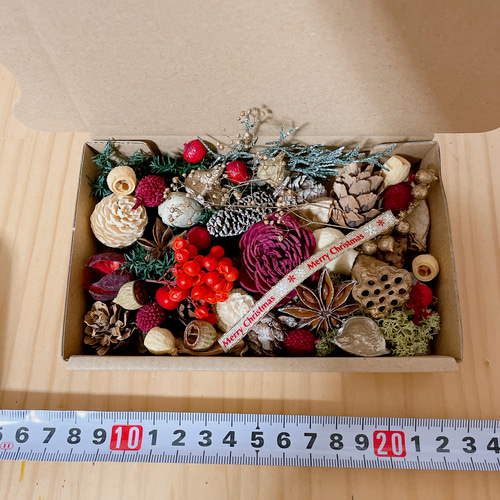 木の実セット　クリスマス花材　レッド×ナチュラル系 木の実 クリスマス花材 レッド×ナチュラル系 木の実のリース