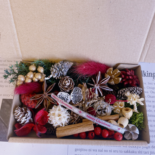 木の実&花材セット 木の実 クリスマス no.5 ドライフラワー Forest 