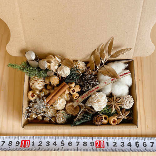 木の実&花材セット 木の実 クリスマス no.6 ドライフラワー Forest