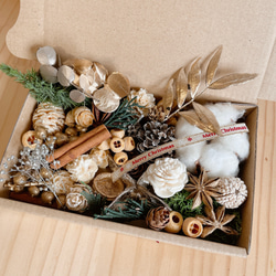 木の実&花材セット 木の実 クリスマス no.6 ドライフラワー Forest