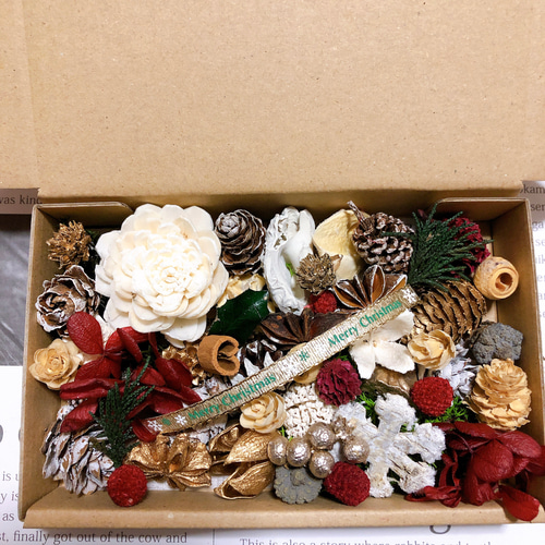 木の実&花材セット 木の実 クリスマス no.9 ドライフラワー Forest 