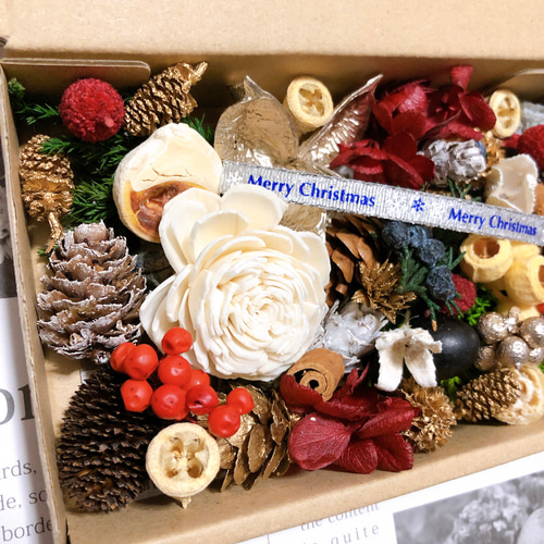 木の実&花材セット 木の実 クリスマス no.10 ドライフラワー Forest 