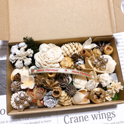 木の実&花材セット 木の実 クリスマス no.6 ドライフラワー Forest