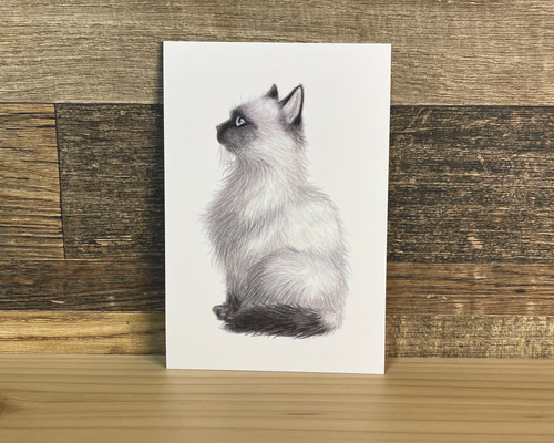 421f4391ce5e07b69be985b9b87b78