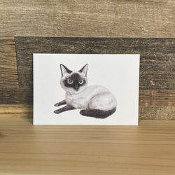 ba18d5faf9f599a78ca12edb89346d