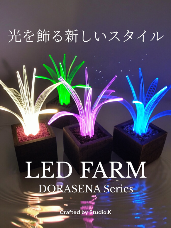 光る観葉植物 ドラセナ LED FARM DORASENA 特典あり カラー4色あり