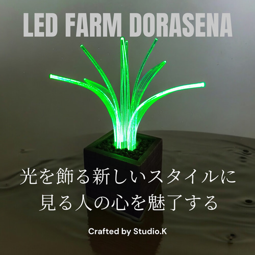 光る観葉植物 ドラセナ LED FARM DORASENA 特典あり カラー4色あり