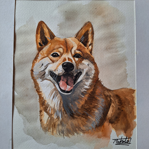 動物画、ペット画(本格水彩画) 水彩画 柴犬 絵画 makochin 通販 17936009｜Creema(クリーマ)