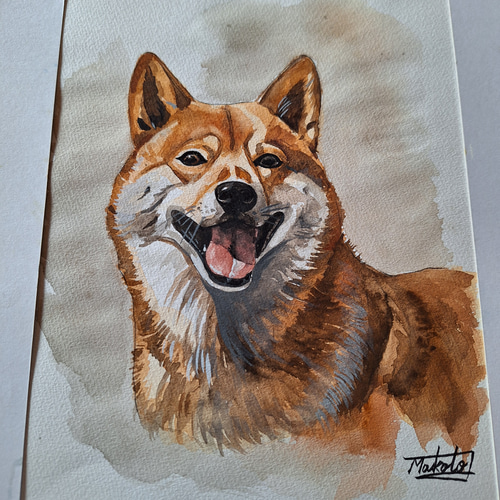 水彩画 柴犬 絵画 makochin 通販｜Creema(クリーマ) 17936009