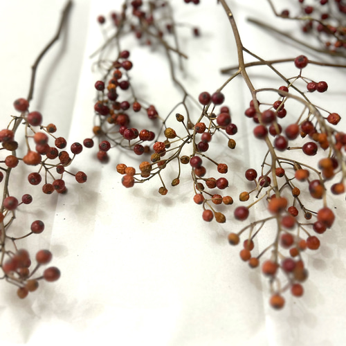 ノイバラの実 難あり商品 ドライフラワー Satsuki 通販 17936576