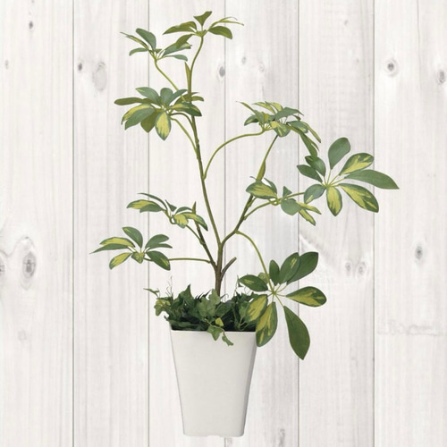 光触媒　人工観葉植物　ウォールグリーン　フェイクグリーン　シェフレラアレンジＲ 光触媒 人工観葉植物 ウォールグリーン フェイクグリーン シェフレラ68