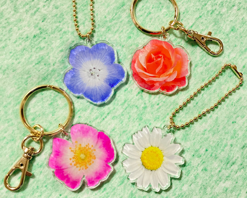 cc500e2a79c94d7d69035574132c50