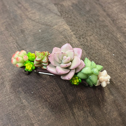 樹脂粘土 多肉植物のキーホルダー キーホルダー kotoriko garden 通販