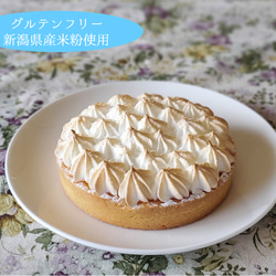 【新品】  レモンタルト（タグ付き） ec51c0f8cd14805e852ed1798f0691