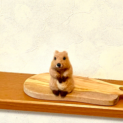 チーターの赤ちゃん 羊毛フェルト よっちみかん 通販 15137262