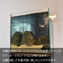 小型水槽にぴったり合う水槽台 / Teto テト / GEX ジェックス 水槽 30×30×30cm / 水槽 水槽台 3枚目の画像