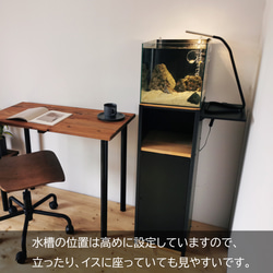 小型水槽にぴったり合う水槽台 / Teto テト / GEX ジェックス 水槽 30×30×30cm / 水槽 水槽台 11枚目の画像