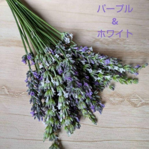ドライフラワースワッグ  ももいろ　ラベンダー ドライフラワースワッグ ももいろラベンダー