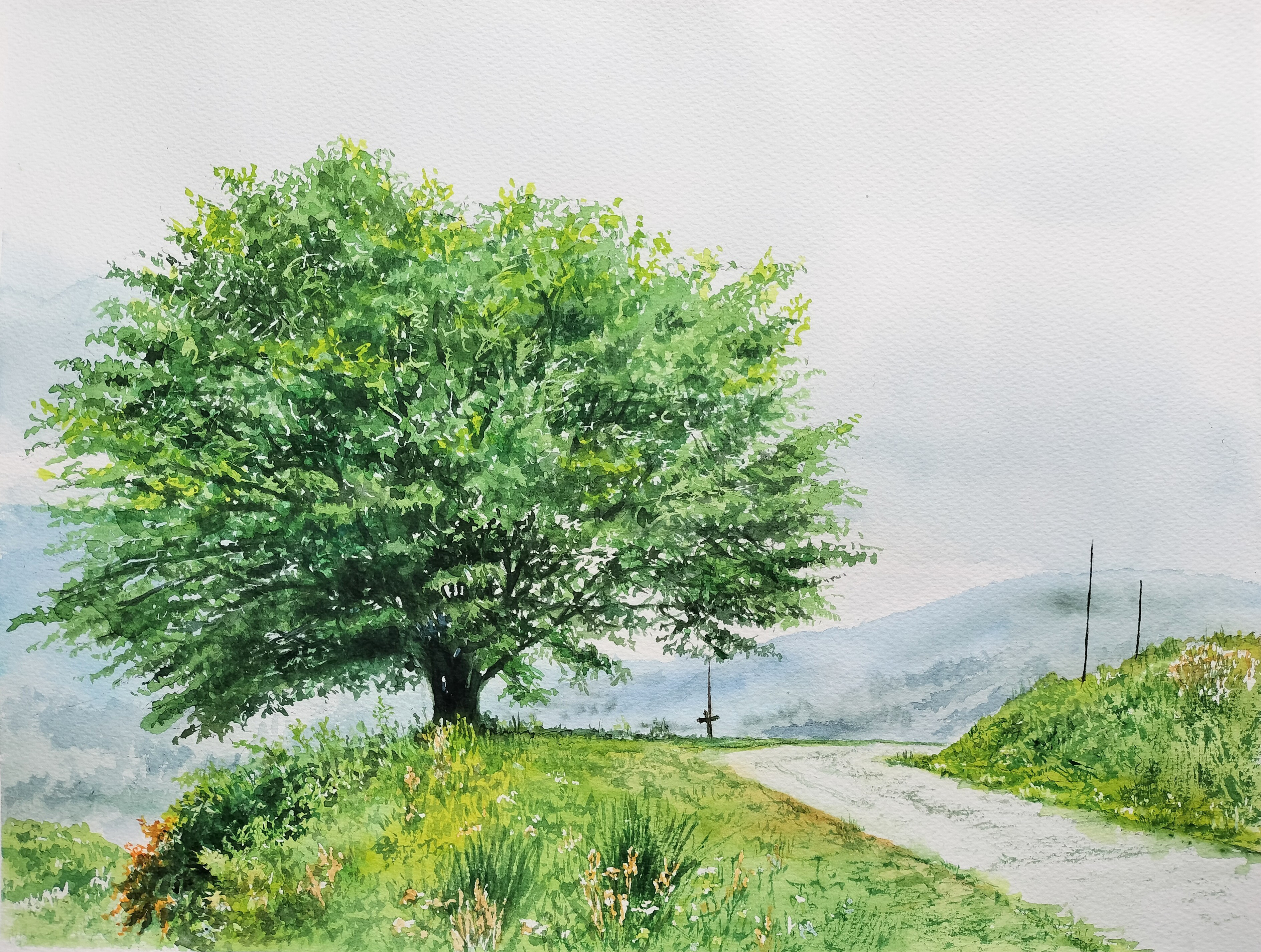 Amazon.co.jp: 水彩画 風景 インテリア ミニ色紙 絵 絵画