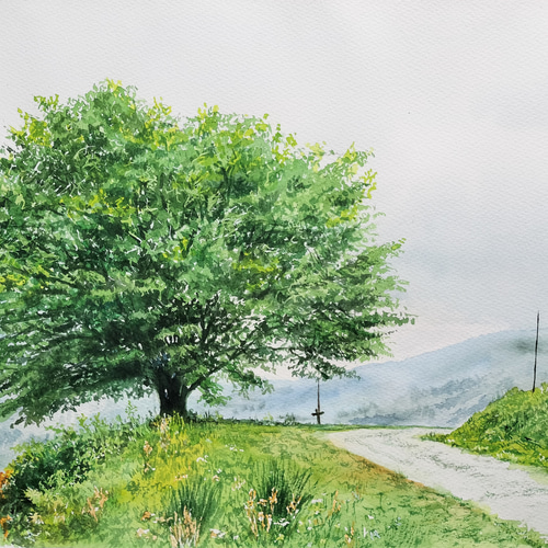絵画 水彩画 風景画 画題「青葉の一本桜」 絵画 yamakasumi56