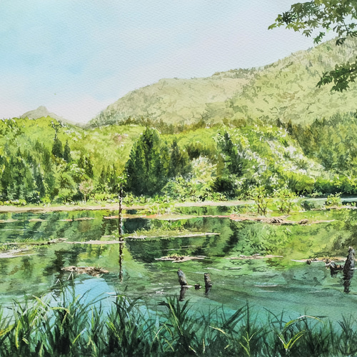 絵画 水彩画 風景画 画題「新緑の水面」 絵画 yamakasumi56 通販