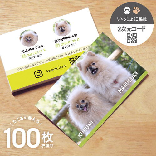 多頭用】うちの子カード(100枚) ／複数匹掲載／Full・横-2次元