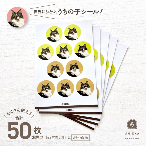 受注制作】うちの子シール(50枚) /送料無料 ペットのシール シール 