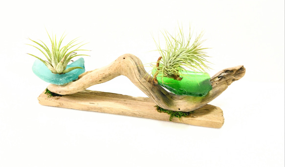 流木　流木インテリア　流木ライト　オブジェ　ライト　流木アート　エアープランツ 流木ランプ 流木オブジェ 流木照明 流木アート 流木灯り 行灯 おしゃれ