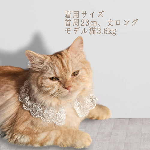 短毛シュシュ(ベージュフラワー)わんちゃん猫ちゃん用 【公式通販】