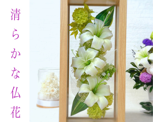 392357afe22f9d45aac1fb81515ddd