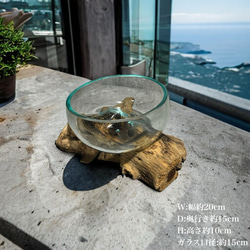 バリ島インテリア雑貨✨流木✖️ガラスwood glass premium (現物商品