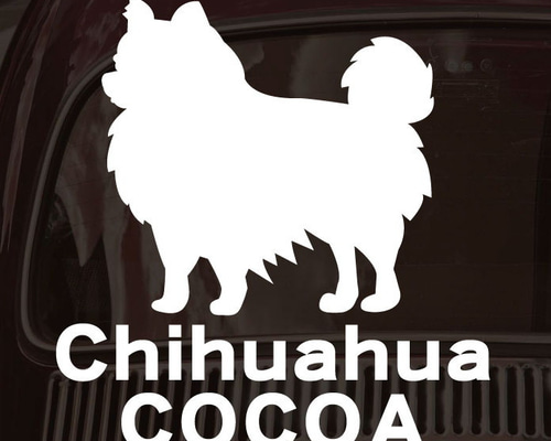 cfcd7a7b3cfeb6c4efcdf30cd7470d