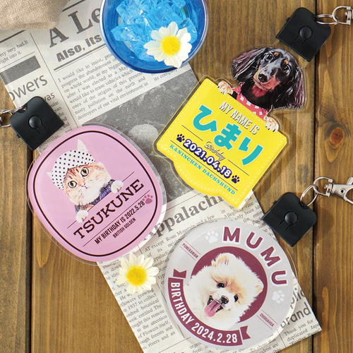 7色に光る! キーチャーム（約8㎝） ☆犬猫 うちの子 ☆オーダー