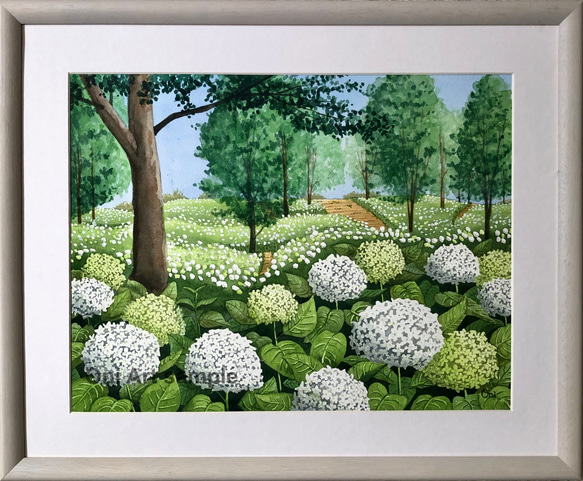 144＊明神池1 水彩画　原画　透明水彩画　B4 144＊明神池1 水彩画 原画 透明水彩画 B4