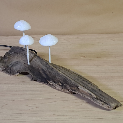 Mushlamp. ミニきのこランプ. Driftwood lamp. 流木ランプ