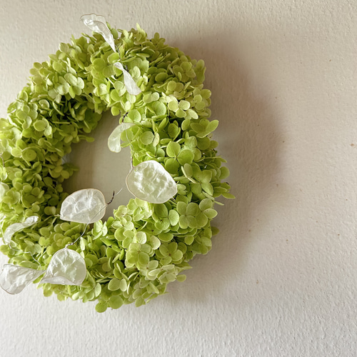 アナベルリース 季節限定アナベルリース リース tetre 通販 17944231｜Creema(クリーマ)