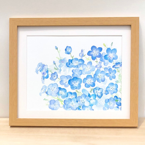 ネモフィラ」 原画 水彩画 額・マット付き 絵画 てんまだて しほ