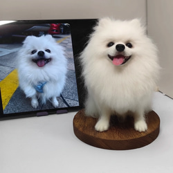 羊毛フェルト おすましポメラニアンのフラワーフレーム クリーム