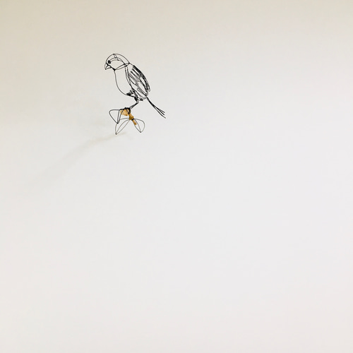 ワイヤーアート ワイヤークラフト 鳥 カナリア 立体・オブジェ