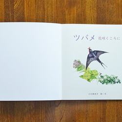 絵本『ツバメ  花咲くころに』 2枚目の画像
