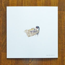 絵本『ツバメ  花咲くころに』 6枚目の画像