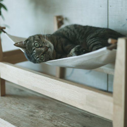猫ハンモック　ニャンモック　オーダー専用 ねこハンモック （木製フレーム+布ハンモック） 通称：にゃんモック