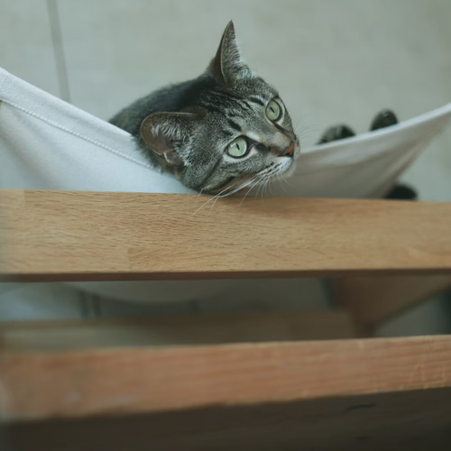 ねこハンモック （木製フレーム+布ハンモック） 通称：にゃんモック