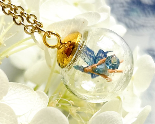 a4800cda5accde46184b3b184b8a96