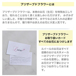 ＜色違い登場＞ジニアと小菊のプリザーブドフラワー仏花、お供え花／お悔み 新盆／ペット用仏花【クリアケース付き】 9枚目の画像