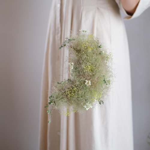 グリーンのスモークツリー月型フライングボール＊フライングリース  