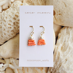 きのこ好きにはたまらない！ 小さく華奢に揺れる海のきのこ